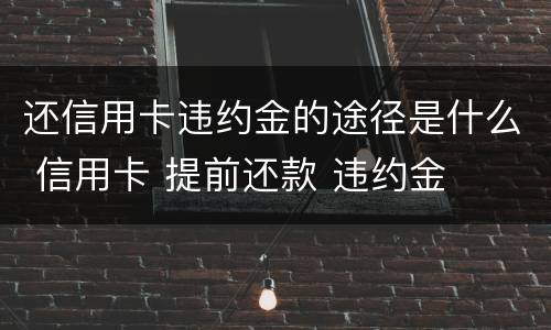 还信用卡违约金的途径是什么 信用卡 提前还款 违约金
