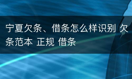 宁夏欠条、借条怎么样识别 欠条范本 正规 借条