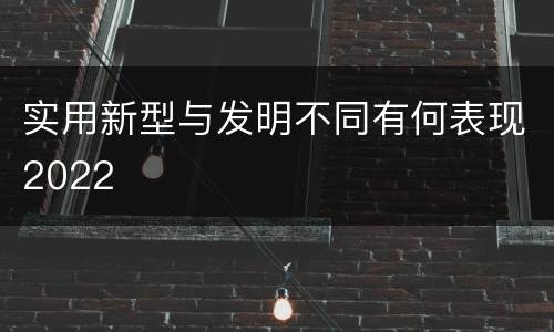 实用新型与发明不同有何表现2022