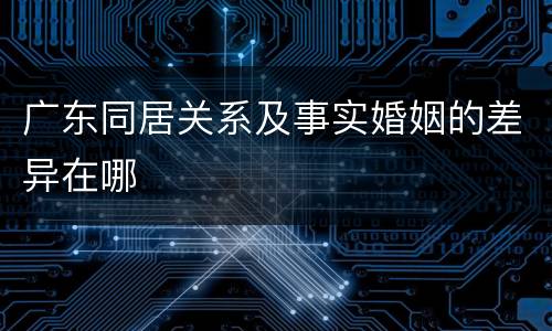 广东同居关系及事实婚姻的差异在哪