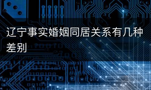 辽宁事实婚姻同居关系有几种差别