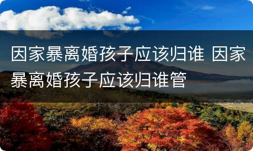 因家暴离婚孩子应该归谁 因家暴离婚孩子应该归谁管