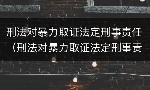 刑法对暴力取证法定刑事责任（刑法对暴力取证法定刑事责任的规定）