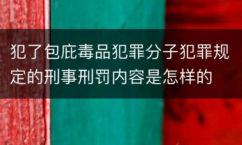 犯了包庇毒品犯罪分子犯罪规定的刑事刑罚内容是怎样的