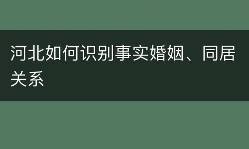 河北如何识别事实婚姻、同居关系