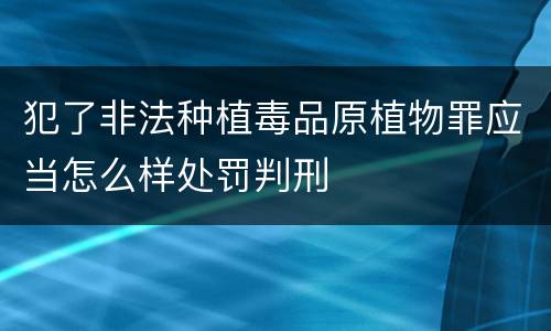犯了非法种植毒品原植物罪应当怎么样处罚判刑