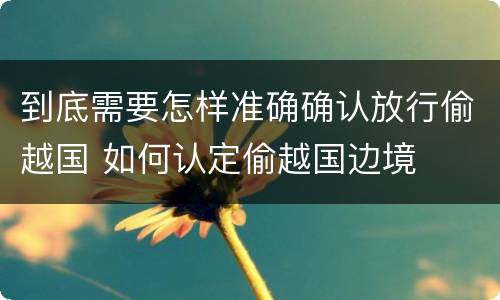 到底需要怎样准确确认放行偷越国 如何认定偷越国边境