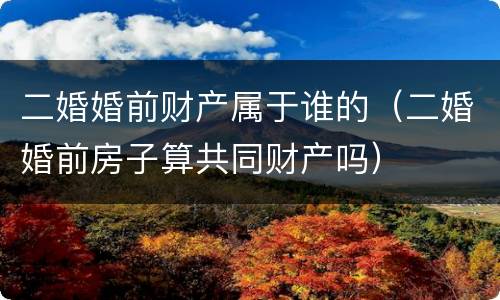 二婚婚前财产属于谁的（二婚婚前房子算共同财产吗）