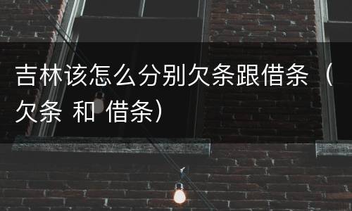 吉林该怎么分别欠条跟借条（欠条 和 借条）