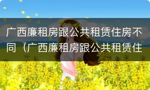 广西廉租房跟公共租赁住房不同（广西廉租房跟公共租赁住房不同的原因）
