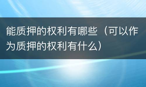 能质押的权利有哪些（可以作为质押的权利有什么）