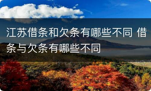 江苏借条和欠条有哪些不同 借条与欠条有哪些不同