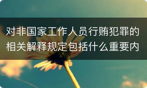 对非国家工作人员行贿犯罪的相关解释规定包括什么重要内容