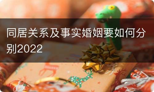 同居关系及事实婚姻要如何分别2022