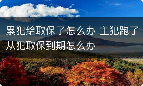 累犯给取保了怎么办 主犯跑了从犯取保到期怎么办