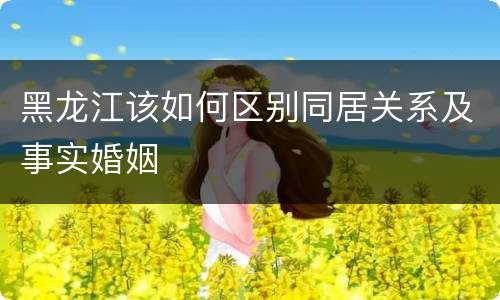 黑龙江该如何区别同居关系及事实婚姻