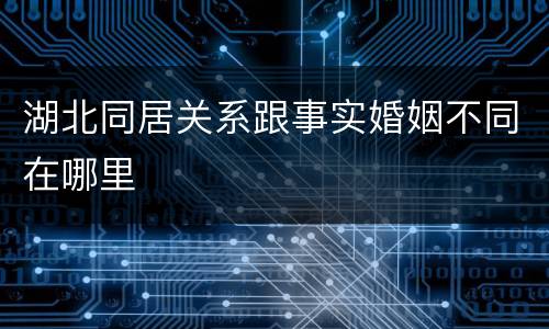 湖北同居关系跟事实婚姻不同在哪里