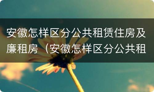 安徽怎样区分公共租赁住房及廉租房（安徽怎样区分公共租赁住房及廉租房区别）