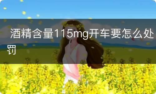  酒精含量115mg开车要怎么处罚