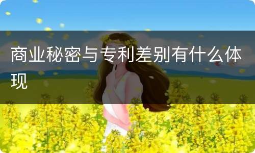 商业秘密与专利差别有什么体现