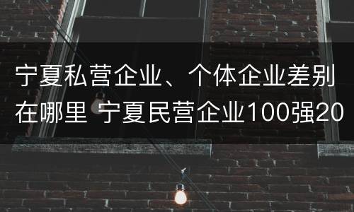 宁夏私营企业、个体企业差别在哪里 宁夏民营企业100强2019