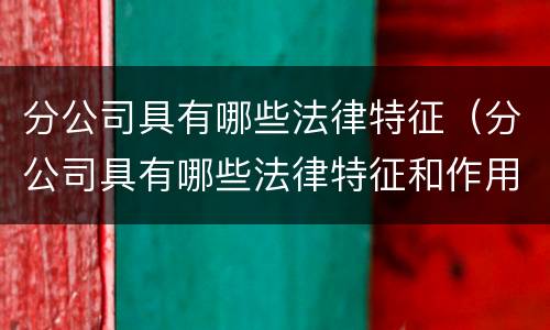 分公司具有哪些法律特征（分公司具有哪些法律特征和作用）