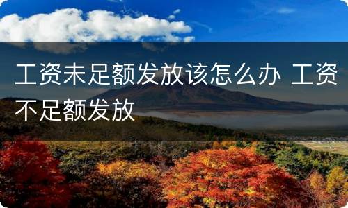 工资未足额发放该怎么办 工资不足额发放