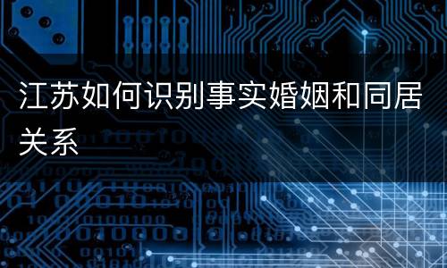 江苏如何识别事实婚姻和同居关系