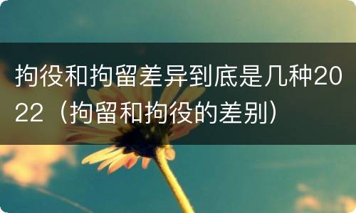 拘役和拘留差异到底是几种2022（拘留和拘役的差别）