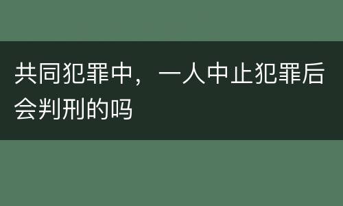 共同犯罪中，一人中止犯罪后会判刑的吗
