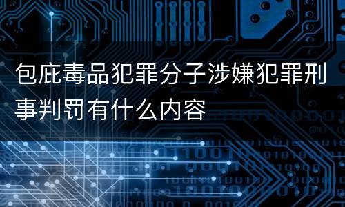 包庇毒品犯罪分子涉嫌犯罪刑事判罚有什么内容