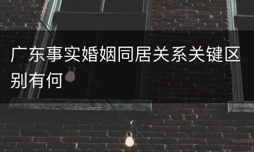 广东事实婚姻同居关系关键区别有何
