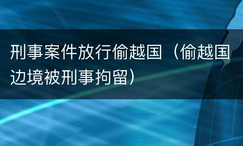 刑事案件放行偷越国（偷越国边境被刑事拘留）