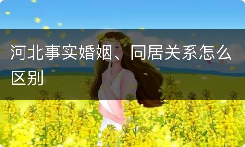 河北事实婚姻、同居关系怎么区别