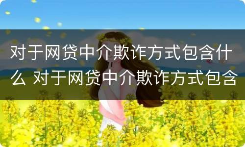 对于网贷中介欺诈方式包含什么 对于网贷中介欺诈方式包含什么内容