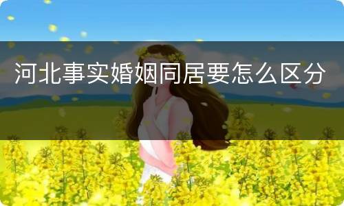 河北事实婚姻同居要怎么区分