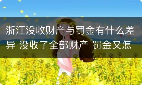 浙江没收财产与罚金有什么差异 没收了全部财产 罚金又怎么办