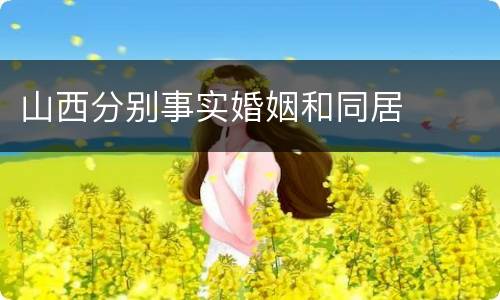 山西分别事实婚姻和同居