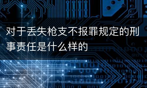 对于丢失枪支不报罪规定的刑事责任是什么样的