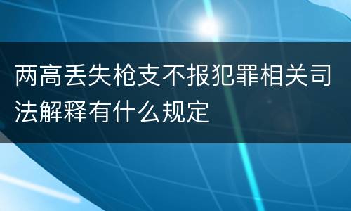 两高丢失枪支不报犯罪相关司法解释有什么规定