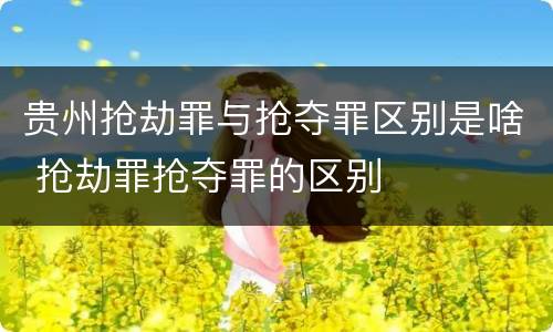 贵州抢劫罪与抢夺罪区别是啥 抢劫罪抢夺罪的区别
