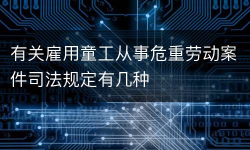 有关雇用童工从事危重劳动案件司法规定有几种
