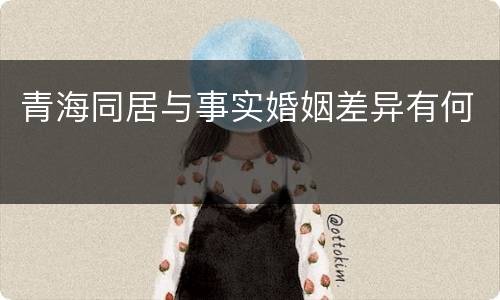 青海同居与事实婚姻差异有何