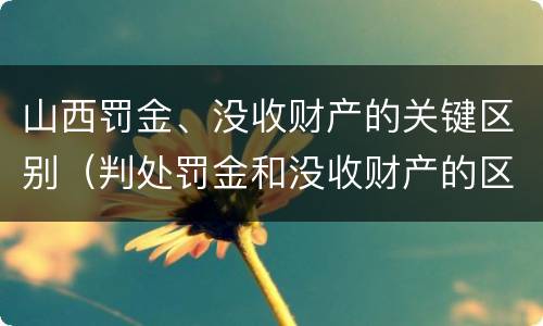 山西罚金、没收财产的关键区别（判处罚金和没收财产的区别）