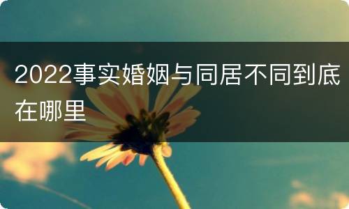 2022事实婚姻与同居不同到底在哪里