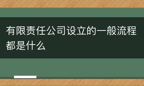 有限责任公司设立的一般流程都是什么