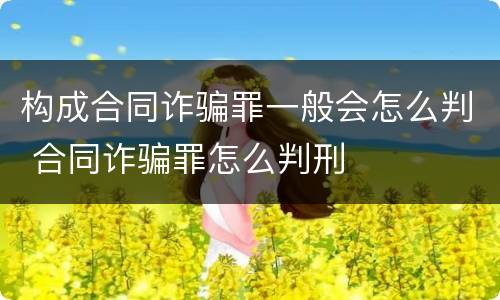 构成合同诈骗罪一般会怎么判 合同诈骗罪怎么判刑