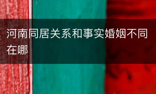 河南同居关系和事实婚姻不同在哪