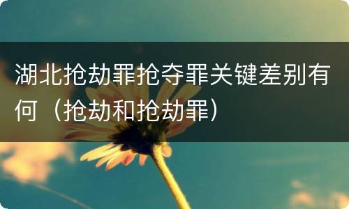 湖北抢劫罪抢夺罪关键差别有何（抢劫和抢劫罪）