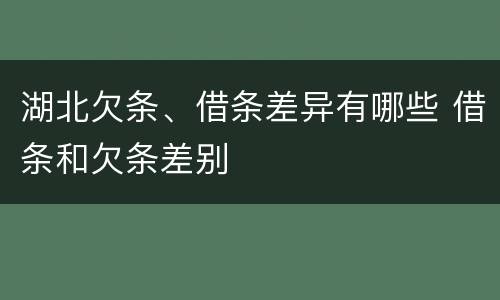 湖北欠条、借条差异有哪些 借条和欠条差别
